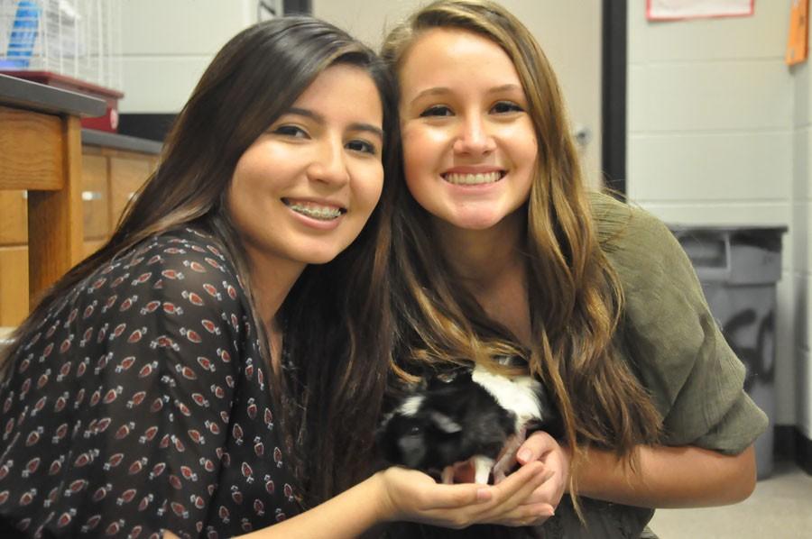 Sarah Martinez and Abby Wolfe hold Avogadra, Mrs. Rosatas class pet.