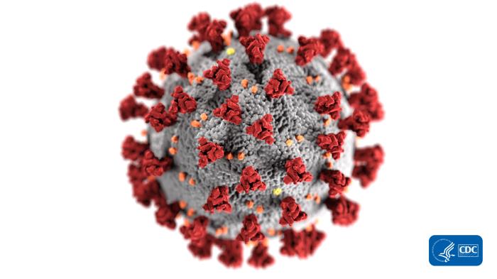 This illustration, created at the Centers for Disease Control and Prevention (CDC), reveals ultrastructural morphology exhibited by coronaviruses. Note the spikes that adorn the outer surface of the virus, which impart the look of a corona surrounding the virion, when viewed electron microscopically. A novel coronavirus, named Severe Acute Respiratory Syndrome coronavirus 2 (SARS-CoV-2), was identified as the cause of an outbreak of respiratory illness first detected in Wuhan, China in 2019. The illness caused by this virus has been named coronavirus disease 2019 (COVID-19).