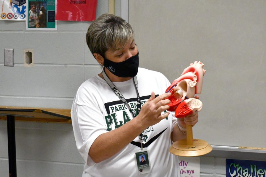 Biology teacher Kristen Lynam shows off one of her classroom models. 