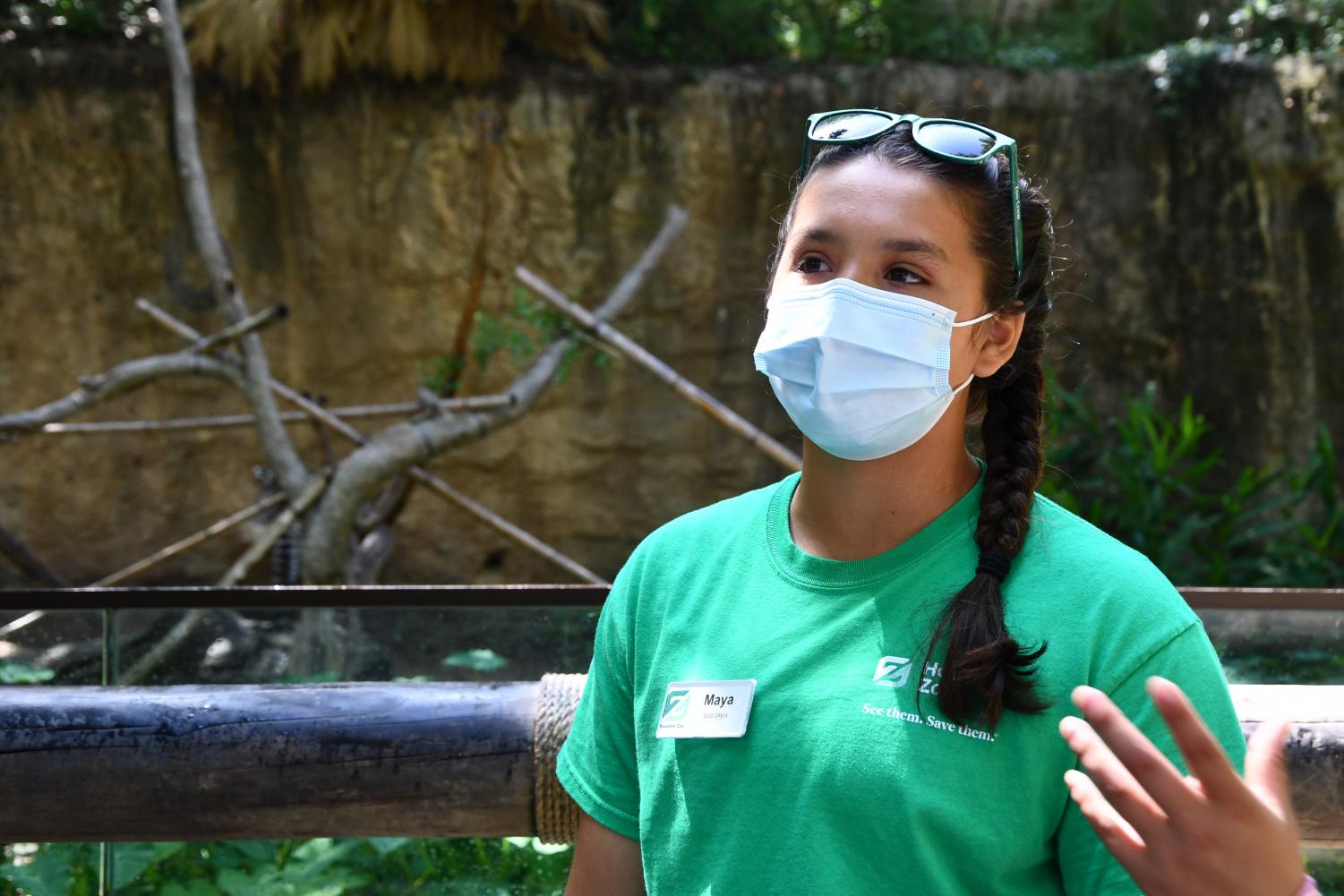 What Animals Can You Feed At The Houston Zoo