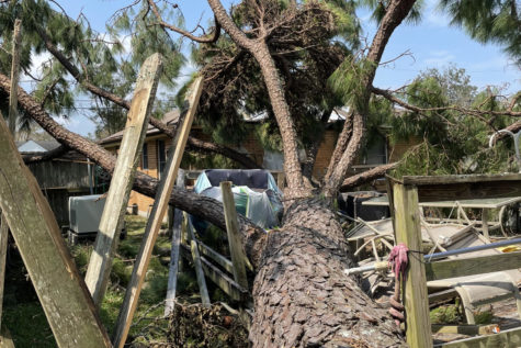 A tree is uprooted in the backyard of science teacher Laurie Rosato’s mom. Early estimates calculated the damage done by Ida to cost between $80-95 billon.