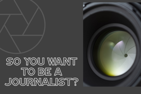 What type of journalist are you?