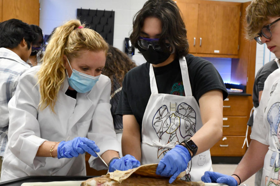 Pathophysiology teacher Cassandra DeBottis works with students during the cat dissection unit in her classroom.