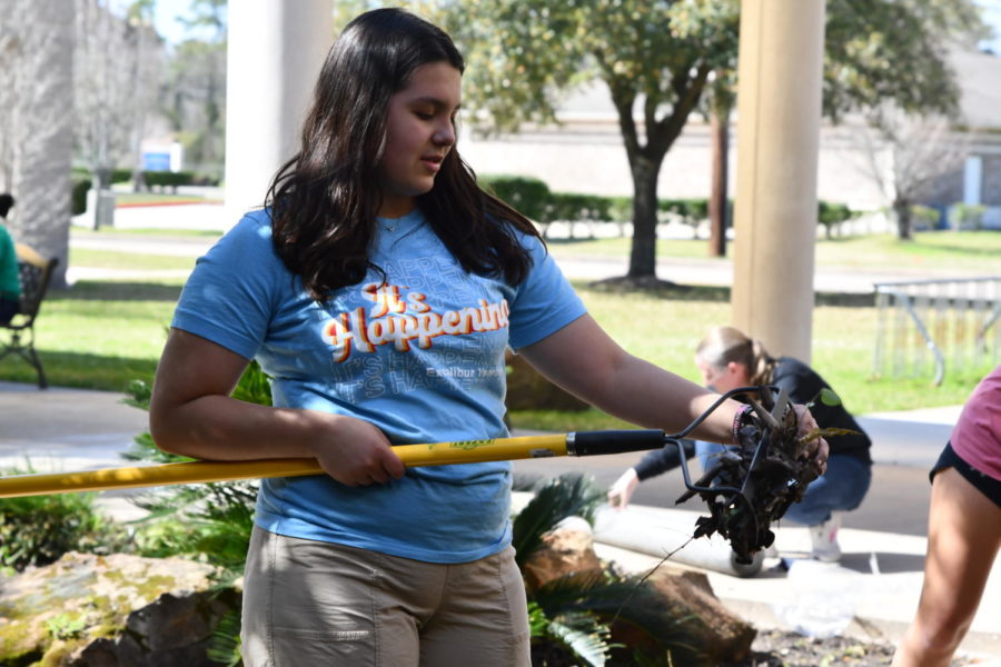 Sophomore Maya Ortiz cleans out the debris as she rakes through the garden near the entrance of Jack Fields Elementary. 