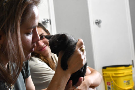 Jen McLain and Erin McLain play with a litter of four kittens in the spare room in their house. The McLains have fostered kittens for eight years. They encourage others to consider adoption by visiting HoustonPetsAlive.org. 