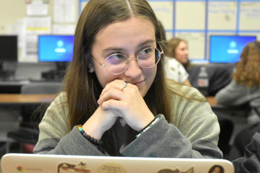 Senior Taylor Nethery sits at lunch with her laptop still open, hoping to get to the front of the Ticketmaster line for tickets to see Taylor Swift in concert.