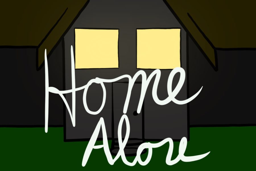 Test+your+Home+Alone+knowledge