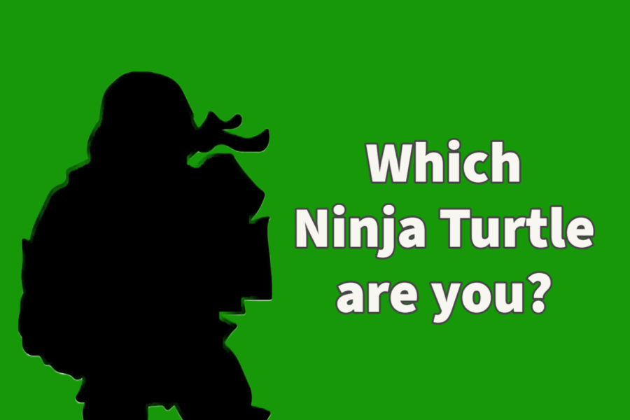 Ninja+Turtle