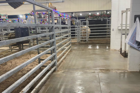 The new barns at the North Ag facility help make raising animals easier for FFA students.