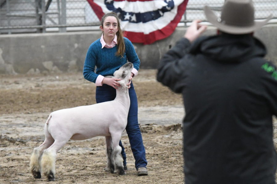 Senior+Camille+Blair+shows+her+sheep+during+the+Humble+ISD+Livestock+Show+on+Feb.+1.+