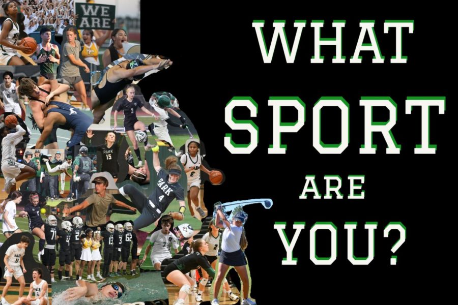 What sport are you? 