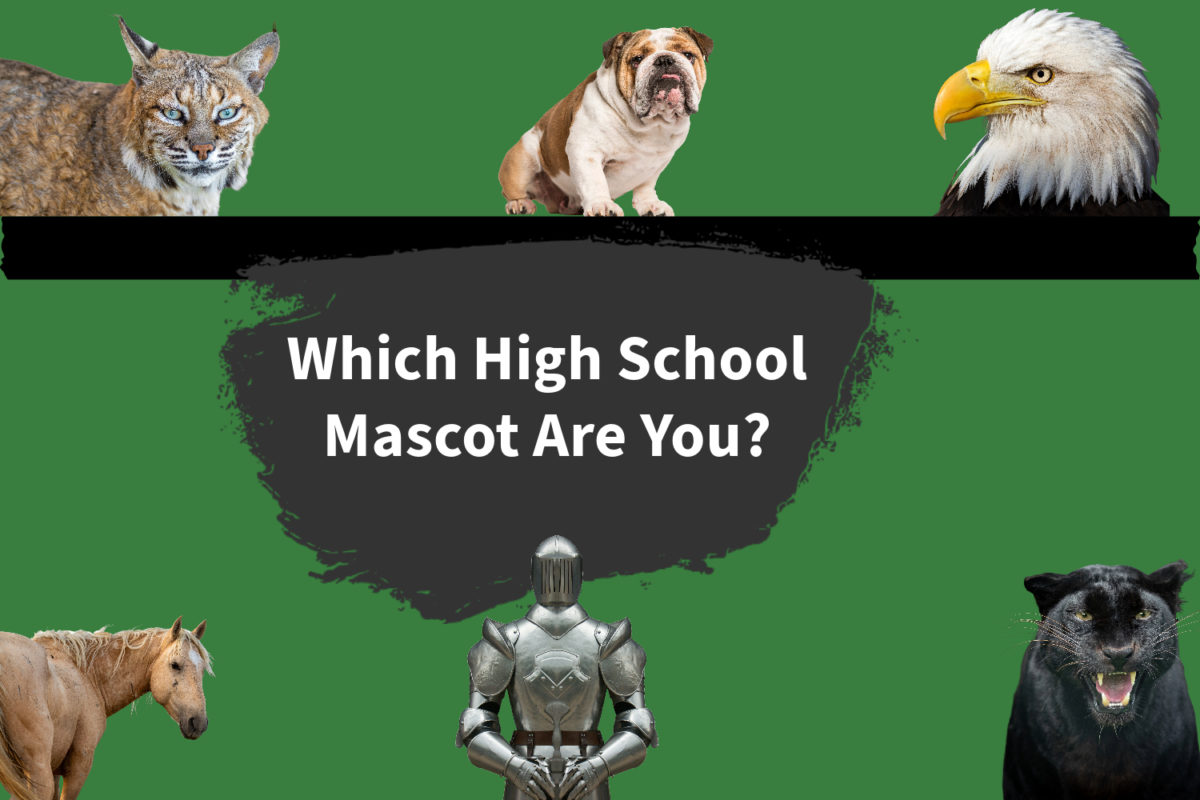 Which high school mascot are you?