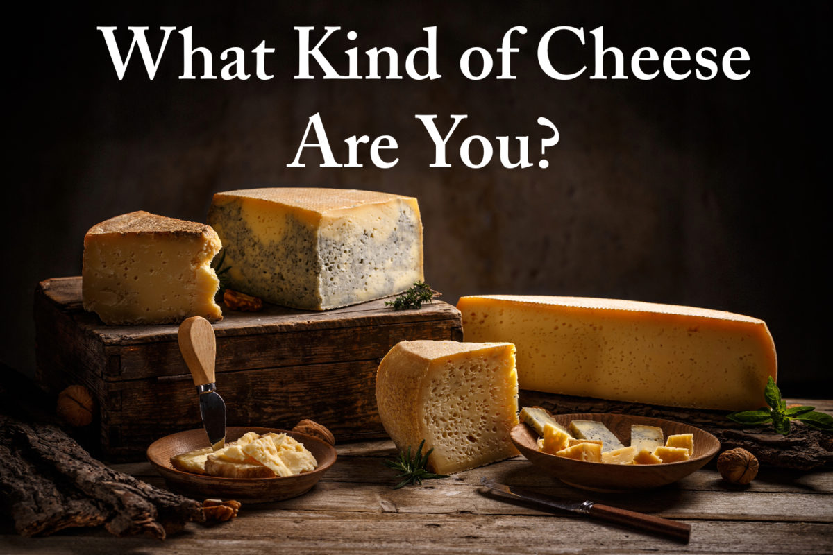 What kind of cheese are you?