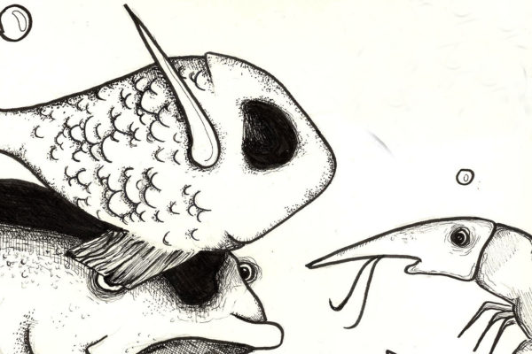 A little fishy [comic]