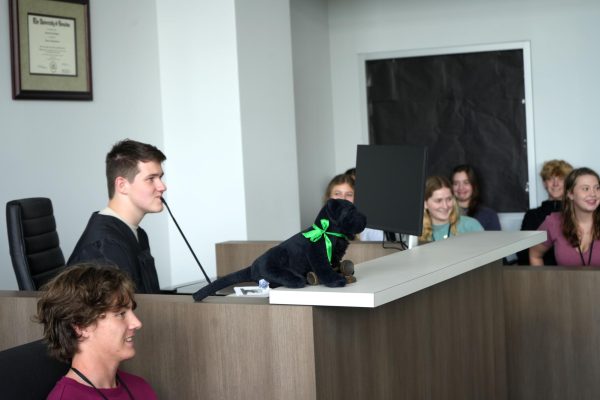 Students take on roles of judge, jurors, witnesses and lawyers in Scarlett Mays Court Systems and Practices class. The courtroom was built on the second floor to help instruction in the courts and law classes.
