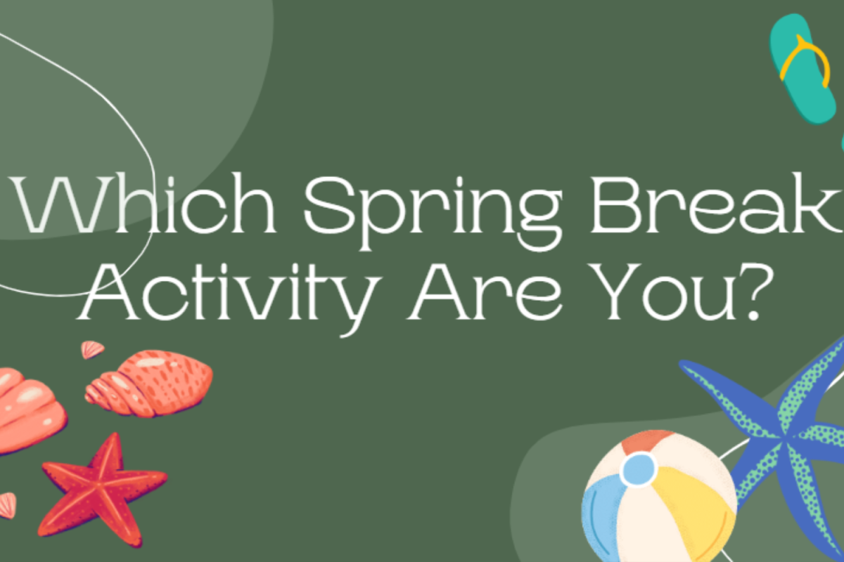 Which spring break activity are you?