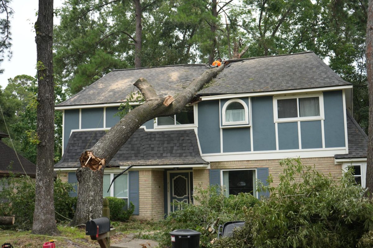 The tree rests on the center of the Cavallo home after Hurricane Beryl struck on July 8. The tree fell into the empty upstairs bedroom between the rooms where sophomore Soleil Cavallo and Kingwood Park graduate Luke Cavallo sleeps.