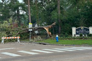A fallen tree from Hurricane Beryl blocks part of the entrance to the Woodland Hills subdivision.