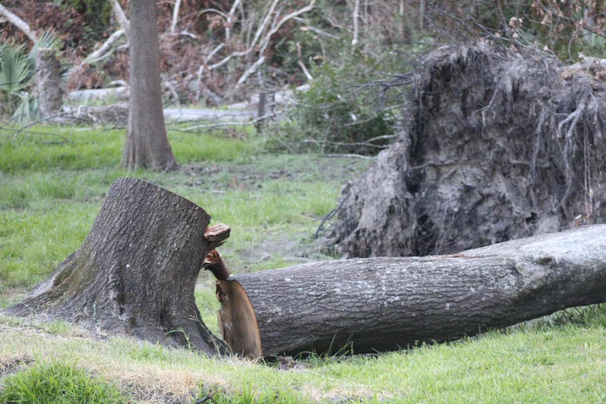 More than 600 trees fell across the five golf courses at Kingwood Country Club. Efforts continue to get the courses open, leaving the golf team without a place to practice.