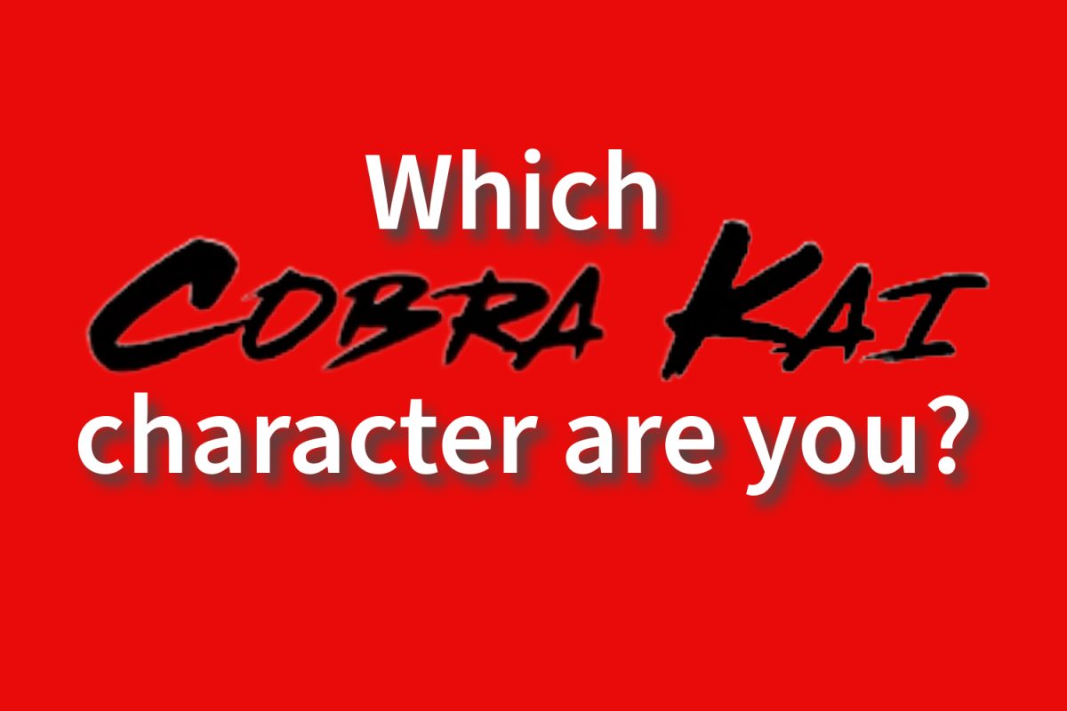 Which 'Cobra Kai' character are you?