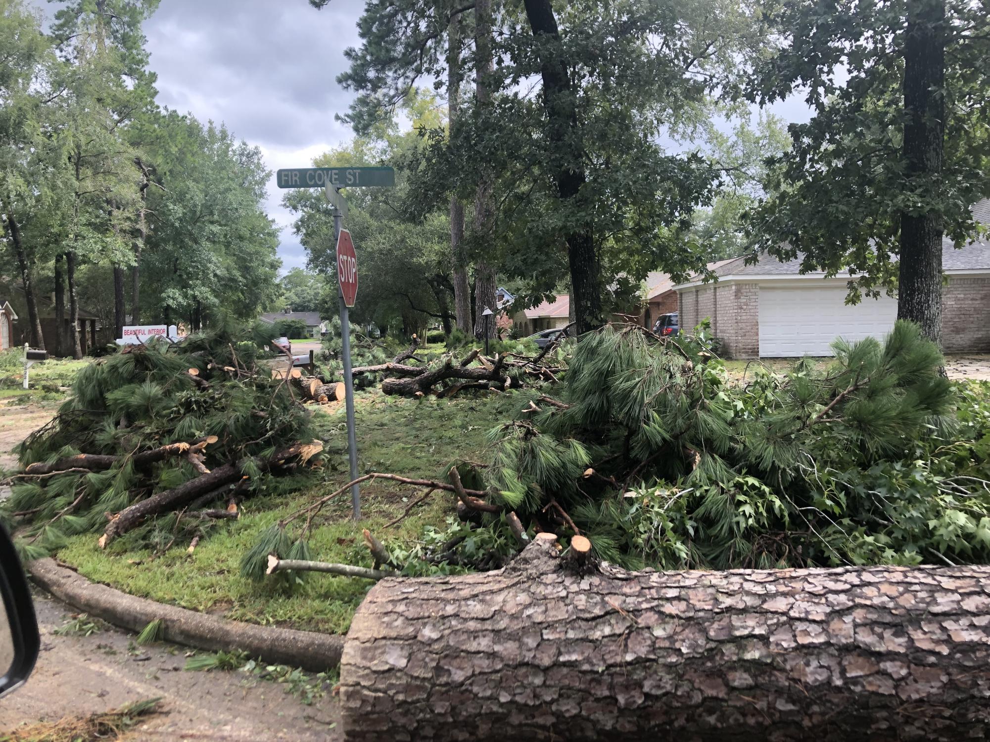 Streets in Kingwood were lined with trees and debris for weeks after Hurricane Beryl hit. Photo submitted by Shawn Chaney Jr.