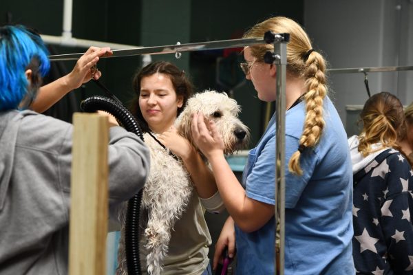 Sophomores Hailey Munscher and Juliette Norman groom one of counselor Gina Sanchez's dogs on Oct. 3 during Small Animal Management class. The dog washing is a free service the class offers to teachers.