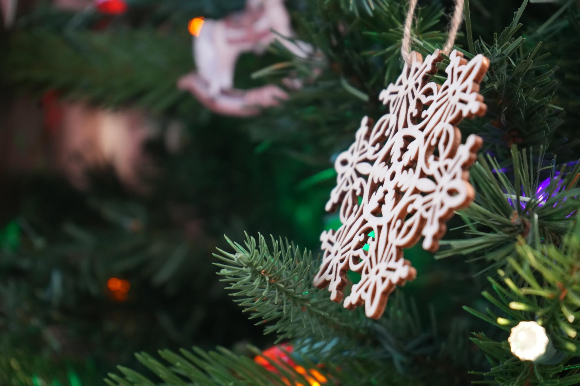 The commons was decorated with Christmas trees.