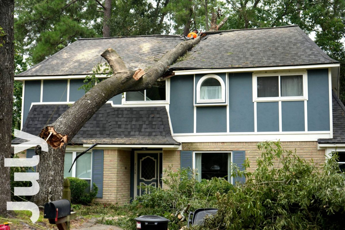 The tree rests on the center of the Cavallo home after Hurricane Beryl struck on July 8. The tree fell into the empty upstairs bedroom between the rooms where sophomore Soleil Cavallo and Kingwood Park graduate Luke Cavallo sleeps.