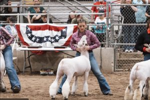 Sophomore Sophia Mitchell participates in a livestock show with her lamb. Photo submitted by Sophia MItchell.