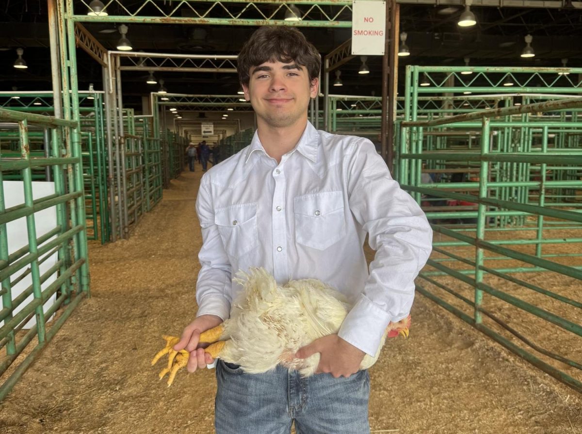 Cameron Spangler shows off one of his chickens. Photo submitted by Cameron Spangler.