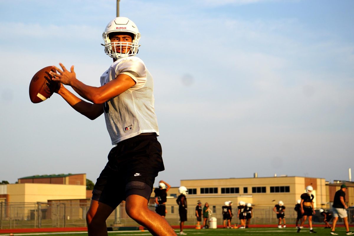 Pavlatos steps into spotlight