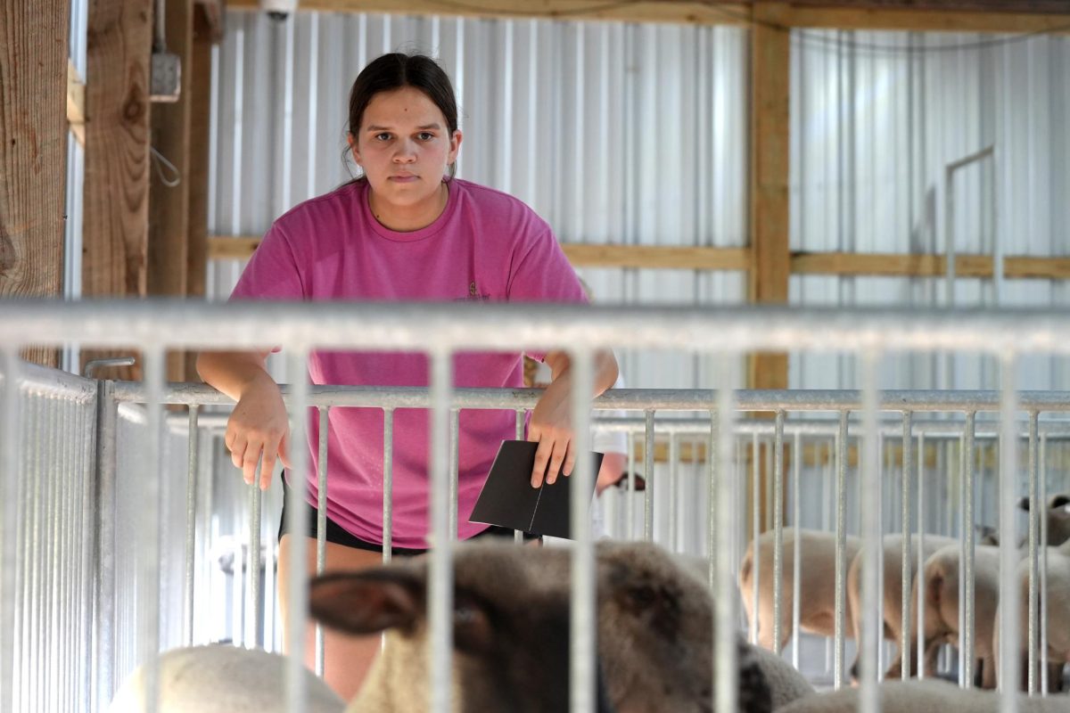 Senior Bella Shotts watches the lambs at the FFA barns during the lamb and goat selection night on Sept. 29. 