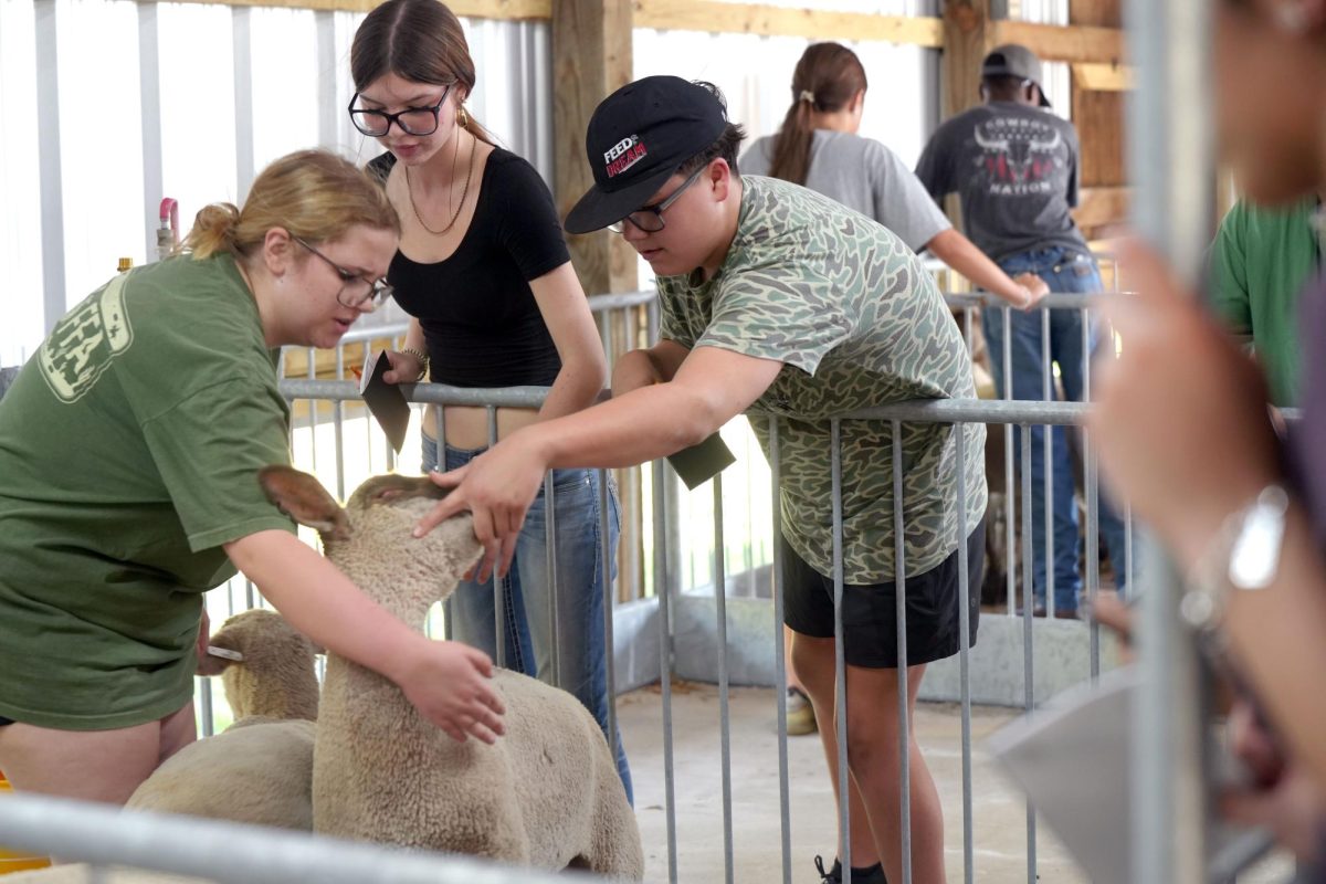 A lamb is held up by senior Katherine Tims while being examined by freshman Jaxon Zarate and sophomore Gracelynn Hulon. Tims is the vice president of FFA and has been in the organization all four years. 