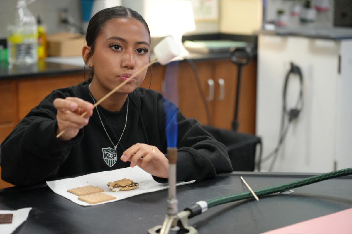 Sophomore Mariana Garcia eyes her marshmallow she is roasting during a chemistry lab on Feb. 6.
