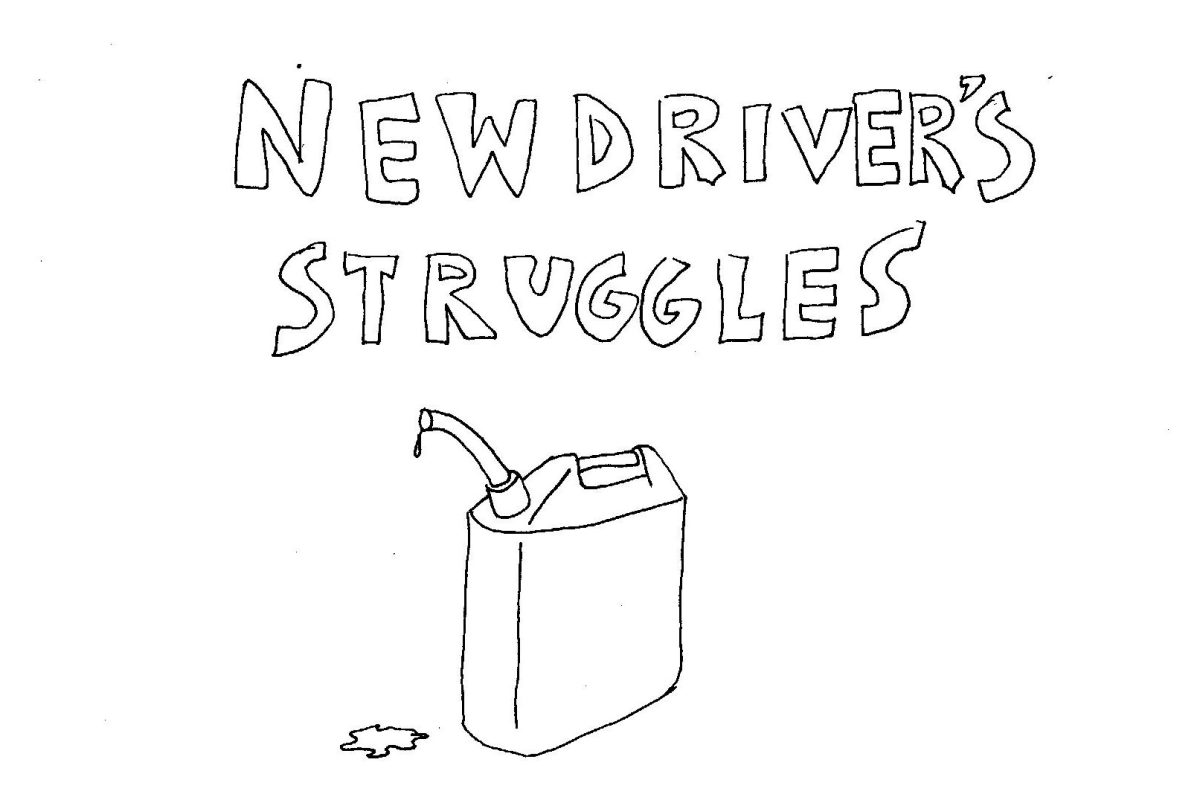 New driver's struggles