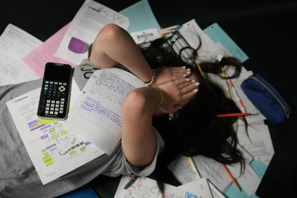The workload is heavy as many students juggle multiple advanced-level courses each year.