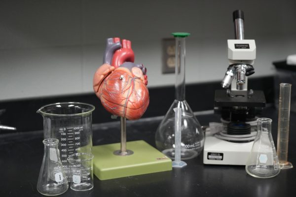 A new science class may be on the way with AP Environmental Science gaining interest on campus. 
